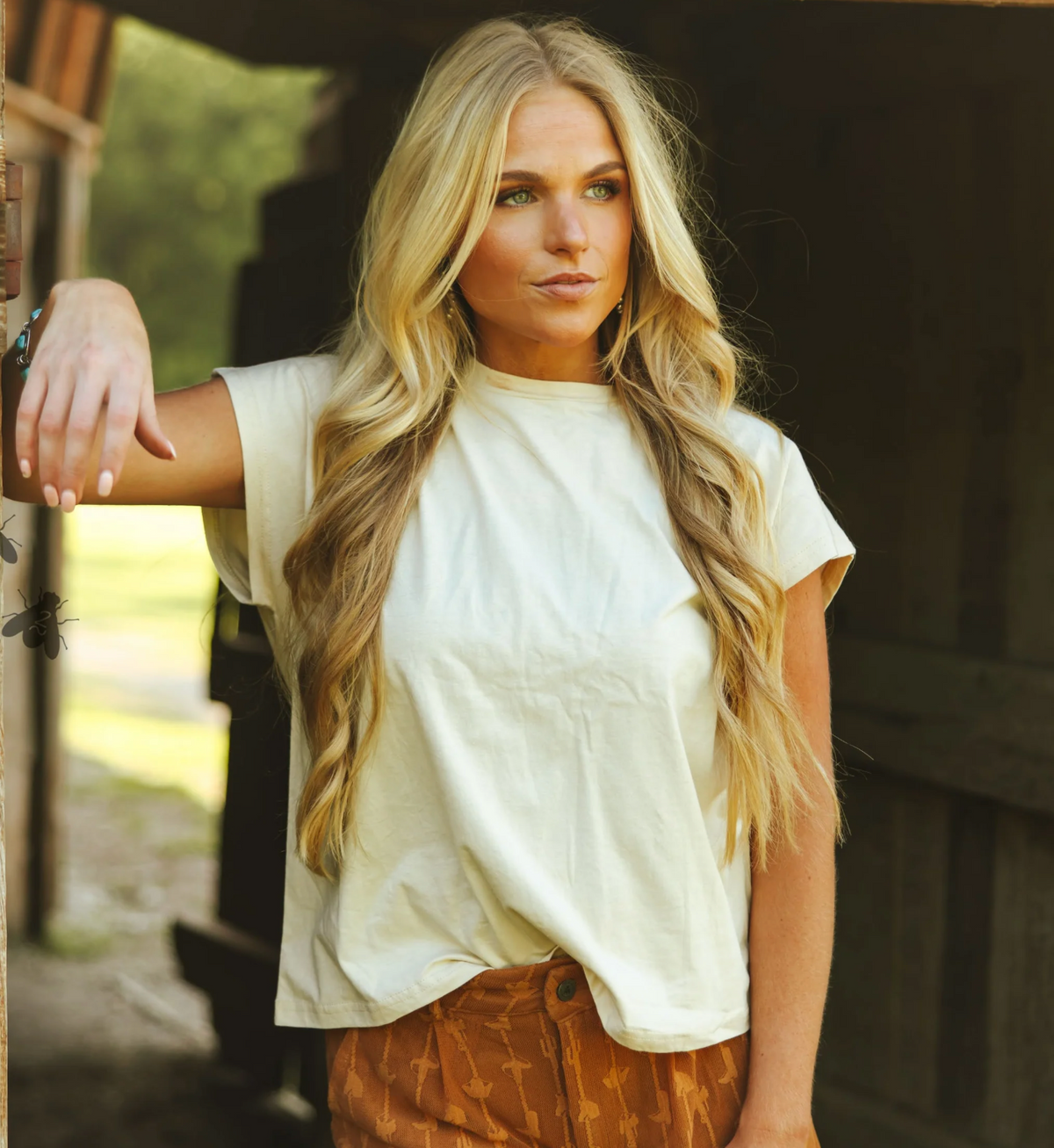Back to Basics Top - Dust